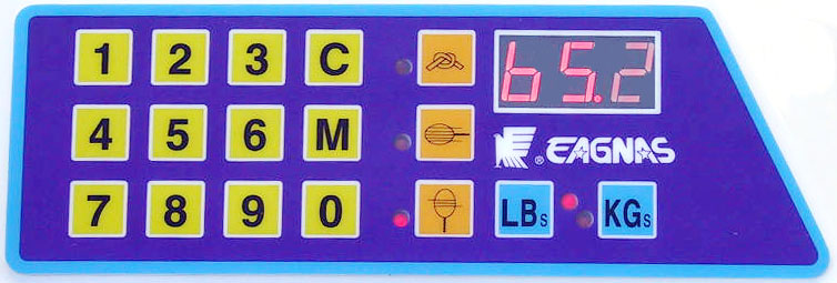 Keypad and LED digital display panel